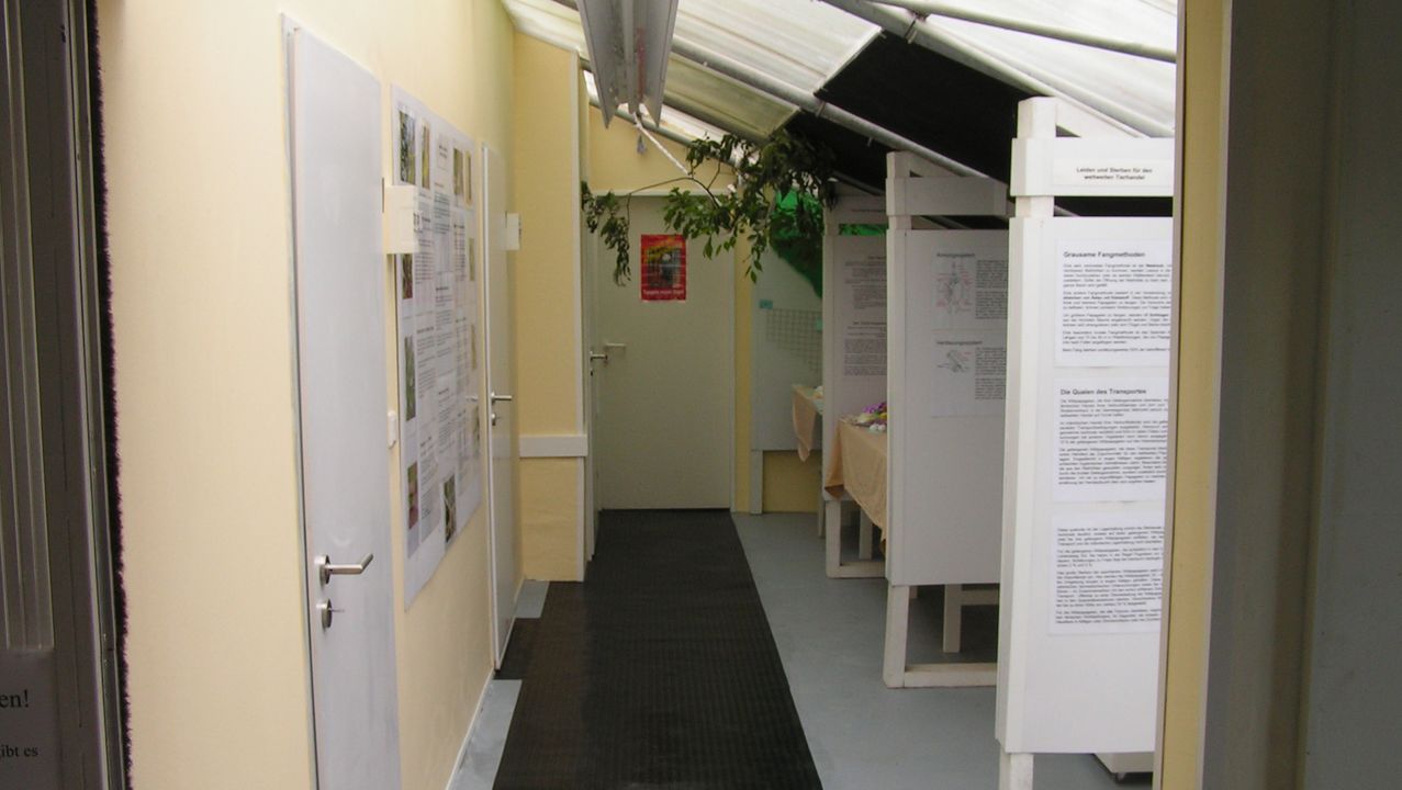 Blick in den Ausstellungsraum