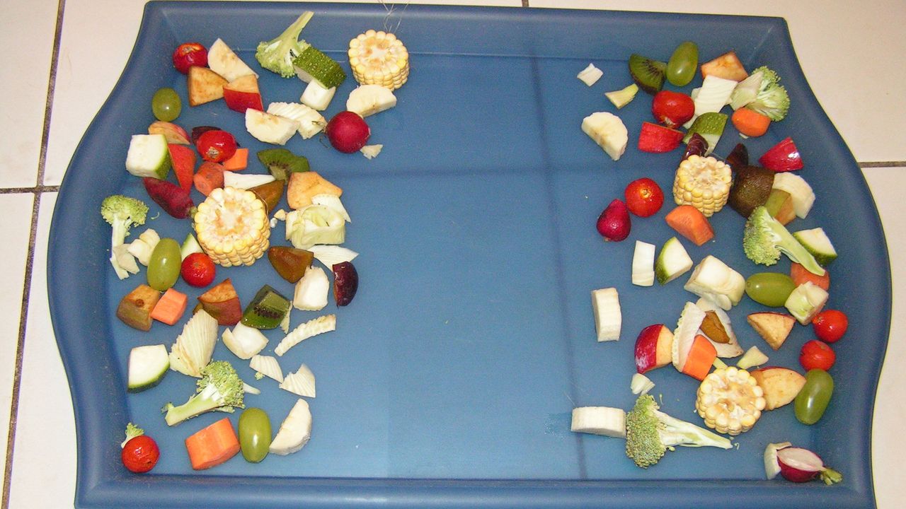 Futterzubereitung: Futtertablett mit Obst und Gemüse