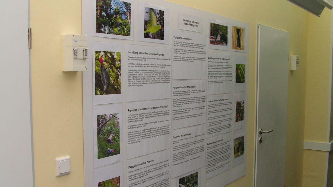 Ausstellungsraum: Informationen über naturnahe Lebensbedingungen